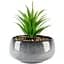 Горщик зі штучною рослиною МВМ My Home, 19 см, сірий (DH-FLOWERS-19 GREEN/GRAY) - мініатюра 1