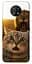 Чехол itsPrint Shocked cat and lion для Nokia G50 - миниатюра 1