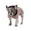 Попона Pet Fashion Max для собак M2 - мініатюра 2