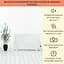 Масляний обігрівач OneConcept Wallander 800W (10033100) - мініатюра 2