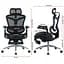 Офісне крісло Sihoo DORO C300 Pro Mesh Black with footrest (DORO-C300-PRO-M101-JT) - мініатюра 15