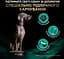 Сухой диетический корм Purina Pro Plan для взрослых собак для поддержания липидного обмена при гиперлипидемии с низким содержанием жиров VETERINARY DIETS EN Gastrointestinal 3,5 кг - миниатюра 7