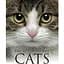 Encyclopedia of Cats - Фотопулос Джуліанна - мініатюра 1