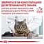 Сухий дієтичний корм для дорослих котів Royal Canin Anallergenic, 2 кг (19500201) - мініатюра 3