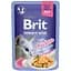 Вологий корм для котів Brit Premium Delicate Fillets in Jelly Chicken філе в желе курка 85 г - мініатюра 1
