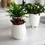 Ваза-кашпо МВМ My Home, 16,5 см, белая (DH-FLOWERS-25 M WHITE) - миниатюра 4