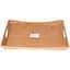 Піднос 51x36x6cm NRW10TRAY - мініатюра 1