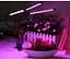 Фітолампа для рослин та орхідей від USB DEL Grow Light 60 LED - мініатюра 10