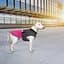Попона Pet Fashion Roy для собак, розмір XL, малиново-сірий - мініатюра 7