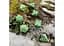 Набор кубиков Forest Dice Set: Tundra , 7 шт. (SFOR4G) - миниатюра 5