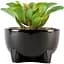 Горщик зі штучною рослиною МВМ My Home, 12 см, чорний (DH-FLOWERS-14 S GREEN/BLACK) - мініатюра 1