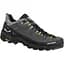 Кросівки Salewa Alp Trainer 2 GTX Mns 42 коричневий - мініатюра 1