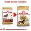 Сухий корм для дорослих собак породи Такса Royal Canin Dachshund Adult, 1,5 кг (3059015) - мініатюра 2