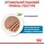 Вологий корм для вагітних собак і цуценят Royal Canin Starter Мother & Вabydog Мousse 2.34 кг (12 шт. х 195 г) - мініатюра 6