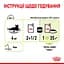 Вологий корм для дорослих котів Royal Canin Sensory Smell Gravy, шматочки в соусі, 85 г - мініатюра 8