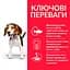 Сухий корм Hill’s SP Puppy Medium Breed для цуценят середніх порід з ягням і рисом 2.5 кг - мініатюра 2