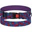 Ошейник для собак BronzeDog Urban Fruits L - миниатюра 1