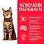 Сухий корм Hill's SP Feline Adult Ligt C 3 кг для дорослої кишки зі схильністю - мініатюра 3