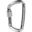 Карабін Climbing Technology D-Shape SG Silver (1053-2C47600 XTB) - мініатюра 1