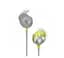 Наушники беспроводные Bose SoundSport wireless Citron 761529-0030 - миниатюра 3