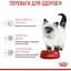 Сухий корм для кошенят Royal Canin Kitten м'ясо птиці та рис 0.4 кг - мініатюра 4