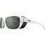 Очки Julbo Camino Spectron Polarized Cat 3 White (1052-J5019011) - миниатюра 1