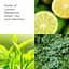 Парфумована вода для жінок Elizabeth Arden Green Tea 30 мл - мініатюра 4