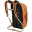 Рюкзак Osprey Daylite Plus розмір Uni помаранчевий - мініатюра 2