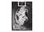 Карти гральні United States Playing Card Company Bicycle Black Dragon (ВР_КИББД) - мініатюра 2