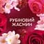 Кондиціонер для білизни Lenor Perfume Therapy Ruby Jasmine 1.239 л - мініатюра 6