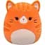М'яка іграшка Squishmallows Руда кішечка Джіджі 30 см (SQCR06684) - мініатюра 1