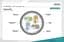 Патч-корд Assmann DIGITUS CAT 6 S-FTP, 3м, AWG 27/7, LSZH DK-1644-030 Gray - миниатюра 6