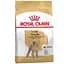 Сухий корм для дорослих собак породи Пудель Royal Canin Poodle Adult, 1,5 кг (3057015) - мініатюра 1