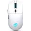 Миша бездротова з акумулятором та підсвіткою HXSJ T20 2.4G Hz White - мініатюра 4