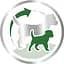 Сухой корм Royal Canin Mini Starter Mother & Babydog для щенков мелких пород, с мясом птицы и рисом, 3 кг - миниатюра 4