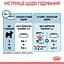 Сухий корм Royal Canin X-Small Puppy для цуценят дрібних порід з м'ясом птиці та рисом 1.5 кг - мініатюра 10