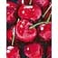 Картина по номерам Rosa Start Натюрморт. Вишни 35x45 см - миниатюра 1