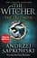 The Witcher. The Last Wish - мініатюра 1