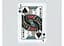 Карти гральні United States Playing Card Company Handshields Jeans (ВР_КДЯХД) - мініатюра 4