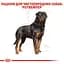 Сухий корм для дорослих собак породи Ротвейлер Royal Canin Rottweiler Adult, з м'ясом птиці, 12 кг (3971120) - мініатюра 3