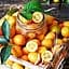 Саджанець Agro-Market Кумкват Хіндші (42915) 1 шт. в упаковці - мініатюра 1