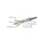 Патч-корд Cablexpert 2м FTP cat 6 CCA blue (PP6-2M/B) - мініатюра 3