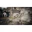 Ключ активації Microsoft Octopath Traveler + Octopath Traveler II Bundle для Xbox One/Series S/X - мініатюра 6