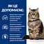 Сухий корм Hill's Prescription Diet Gastrointestinal Biome для котів при захворюваннях ШКТ з куркою 3 кг - мініатюра 5