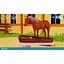 Гра Bibi & Tina New Adventures With Horses (англійська версія) (Nintendo Switch) - мініатюра 3