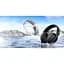 Навушники Aula S6 - 3 in 1 Wired/2.4G Wireless/Bluetooth Black (6948391235554) - мініатюра 6