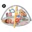 Развивающий музыкальный коврик Taf Toys Savannah 360°, с дугами (12785) - миниатюра 3