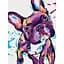 Картина по номерам "Француз" Bambi 11667-NN 30х40 см - миниатюра 1