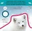 Follow the Trail. Winter Wonderland. Take a Peek! Fun Finger Trails! - мініатюра 5