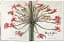 Redoute. The Book of Flowers - миниатюра 3